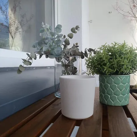 Jawornicka 7 / Grunwald * Познань