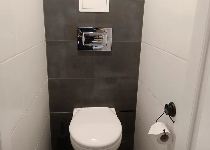 Apartament Jawornicka 7 / Grunwald Poznań