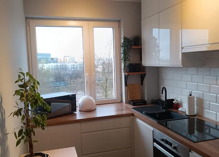 Jawornicka 7 / Grunwald Poznań