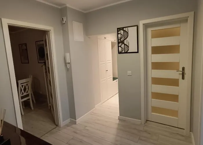 Apartament Jawornicka 7 / Grunwald Poznań